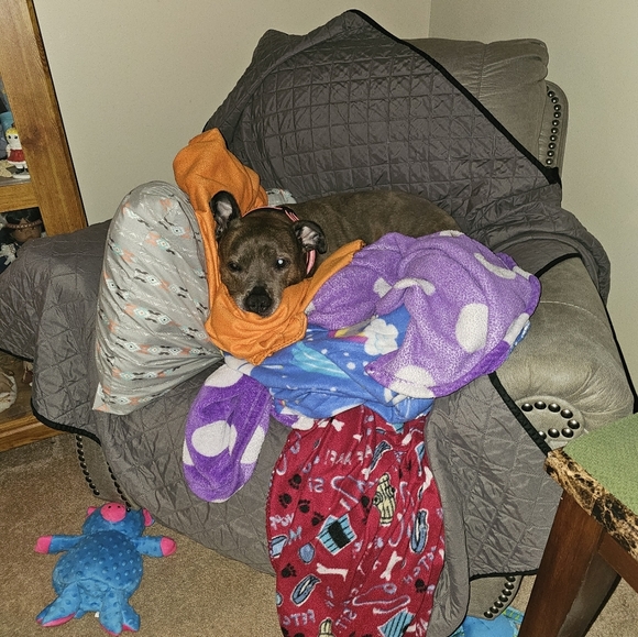 Come join me for a live show. 💜❤️. Come join the fun. - Picture 15 of 16